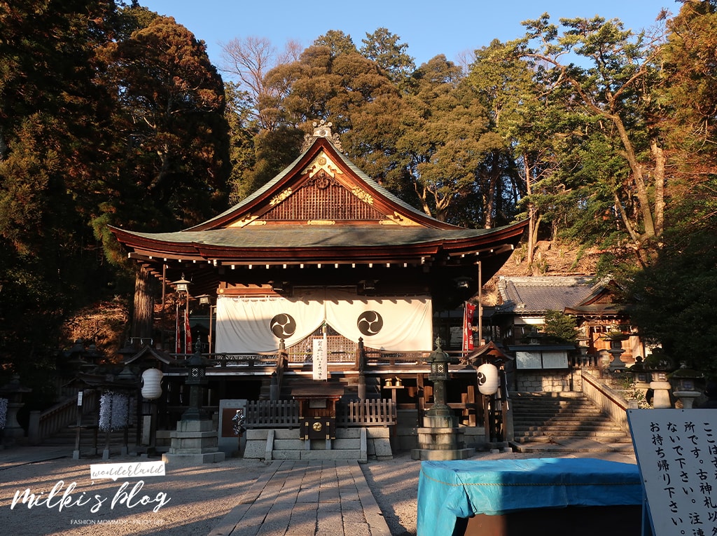 近江八幡一日遊「八幡堀遊船值得看嗎?」滋賀琵琶湖觀光 - 第8張圖
