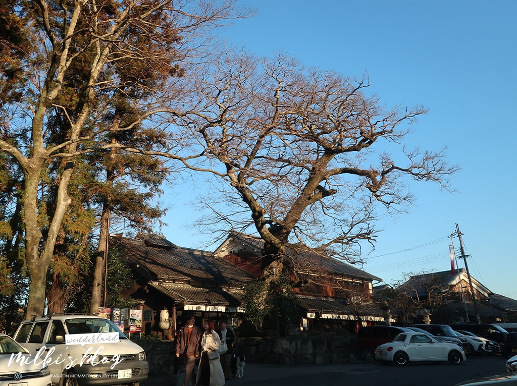近江八幡一日遊「八幡堀遊船值得看嗎?」滋賀琵琶湖觀光 - 第2張圖