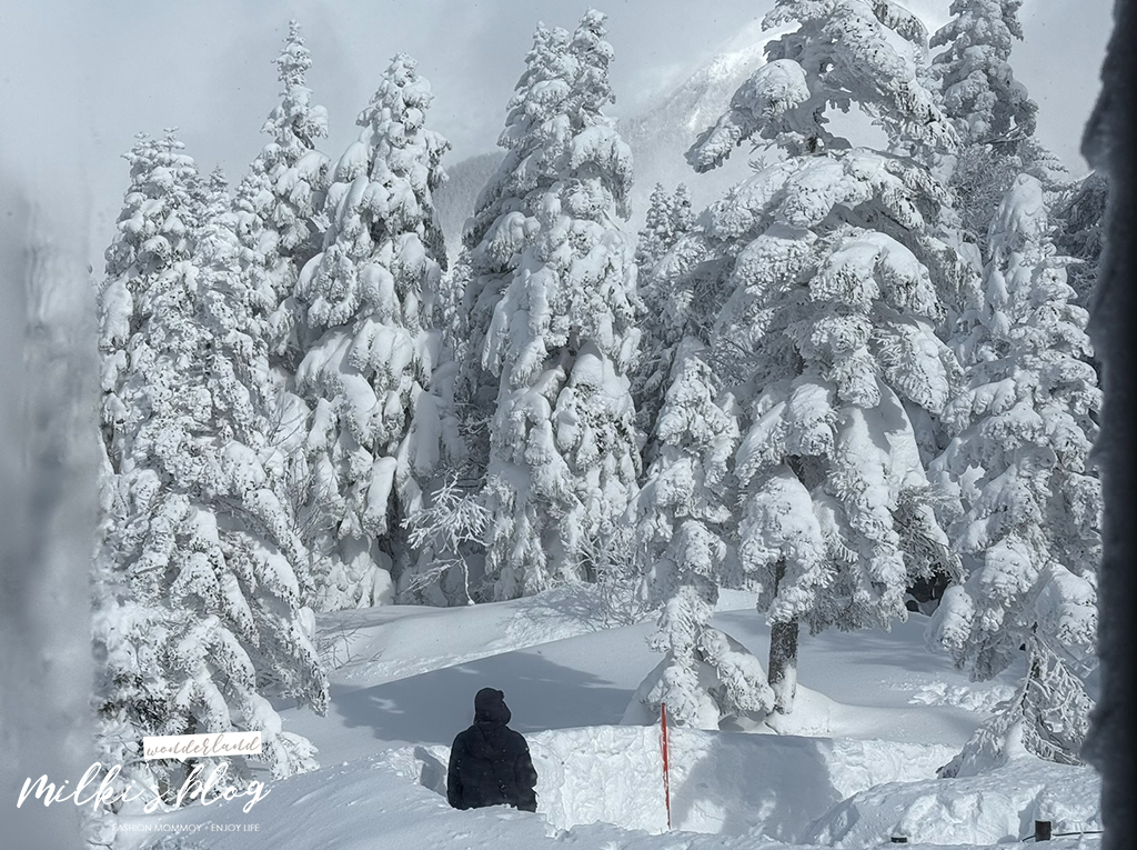 【2026 冬季攻略】名古屋-高山夢幻雪景攻略懶人包 (含樂高樂園、飛驒古川、濃飛巴士)