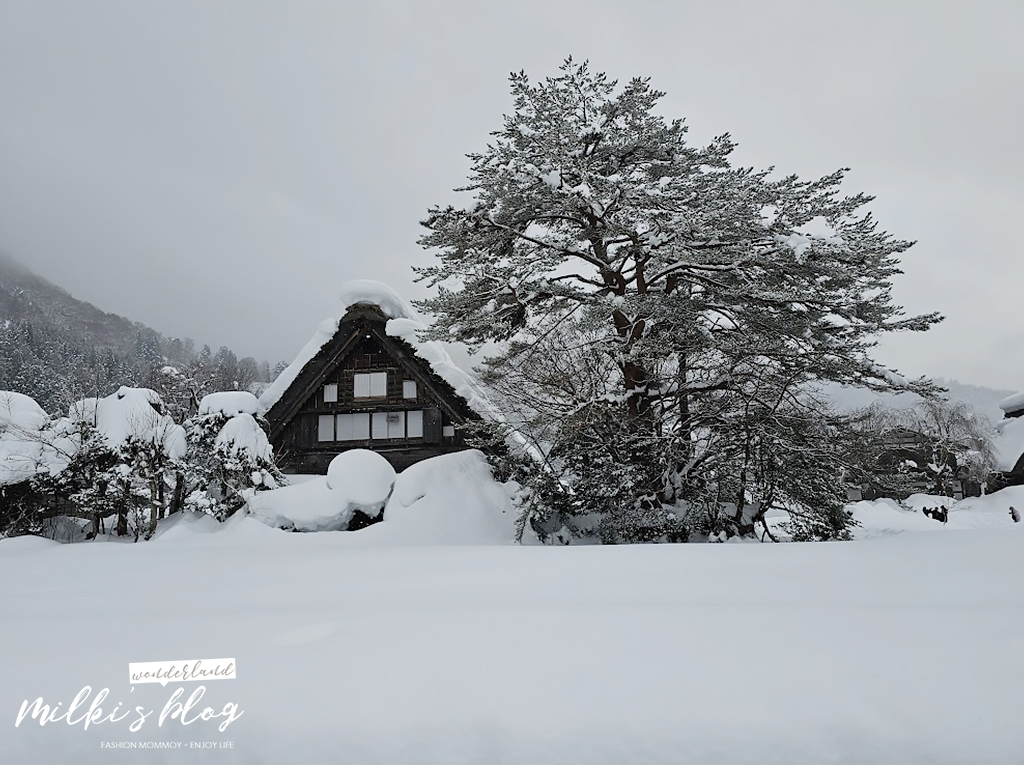 【2026 冬季攻略】名古屋-高山夢幻雪景攻略懶人包 (含樂高樂園、飛驒古川、濃飛巴士)